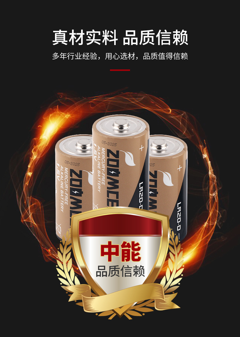 LR20電池1.5V 1號堿性電池(圖6)